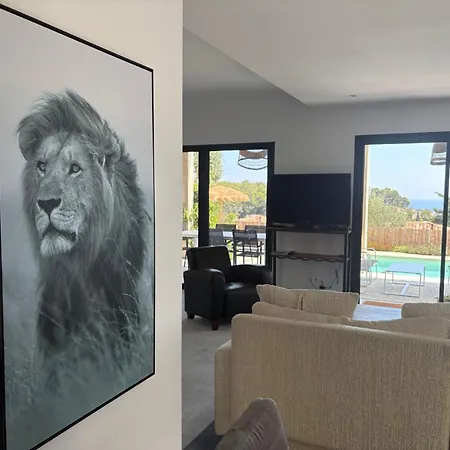 Nomade Proche De Cannes Villa Vallauris